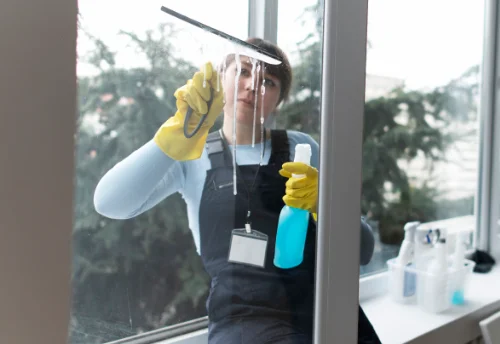 Nettoyage de vitres intérieures et extérieures à Reyrieux
